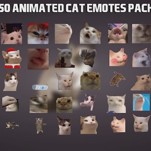50 Animated Cat Emotes Pack for Twitch, YouTube and Discord - Cat Animated Emote - Twitch Alerts - Emotes for Streaming - Twitch Emotes