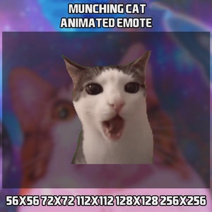 Geanimeerde kat kauwende emote voor Twitch, YouTube en Discord
