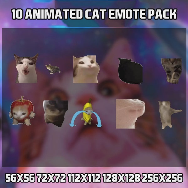 Pack de 10 émoticônes chat animées pour Twitch, YouTube et Discord - Emote animée chat - Alertes Twitch - Emotes pour le streaming - Emotes Twitch