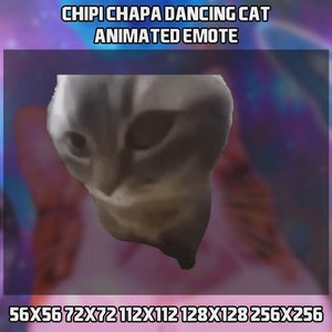 Dancing Cat Animated Emote for Twitch, YouTube and Discord - Chipi Chapa Dancing Cat - Twitch Emotes - Twitch Animated Emotes for Streaming
