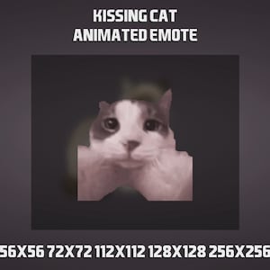Geanimeerde kat kussende emote voor Twitch, YouTube en Discord