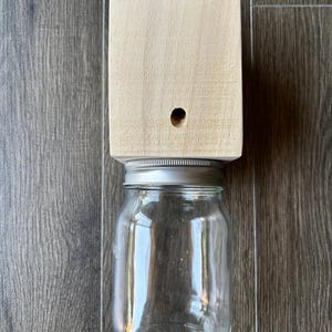 Wood boring (carpenter) bee traps