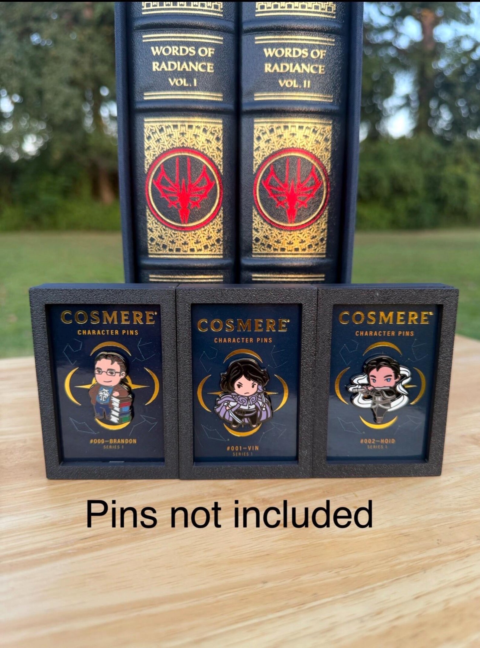 Cosmere Pin Display Frame, Stormlight Archive, Dragonsteel, Collectors ...
