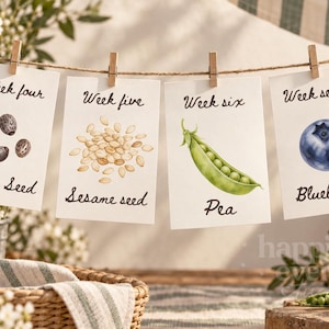 May include: Four rectangular white cards hanging from a twine string with wooden clips. Each card features a watercolor illustration and black cursive text: Week four Poppy Seed, Week five Sesame seed, Week six Pea, and Week seven Blueberry.