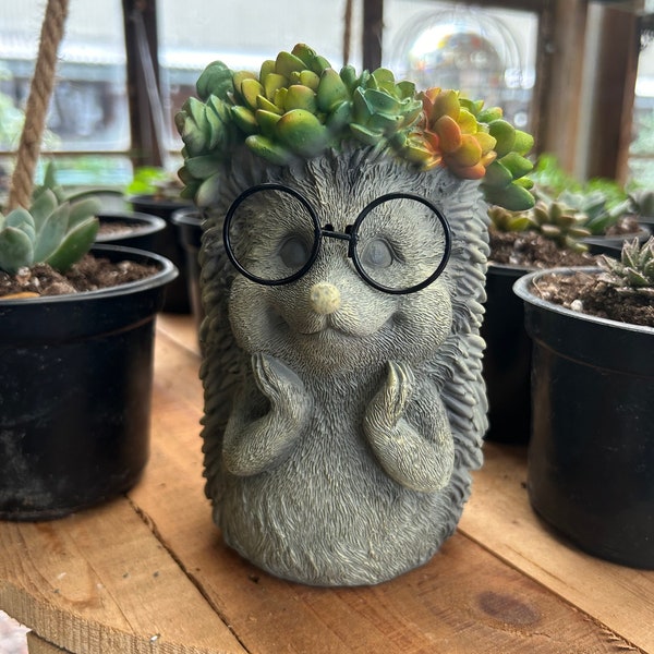 Hedge hog  frog  or owl planter