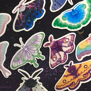subtle pride moth stickers