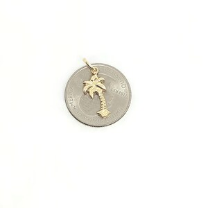 14K geelgouden boombedel, gouden palmboombedel, geribbelde boombedel, gouden tropische boom, botanische sieraden, gouden gezwollen boom, 16 mm x 10 mm afbeelding 6