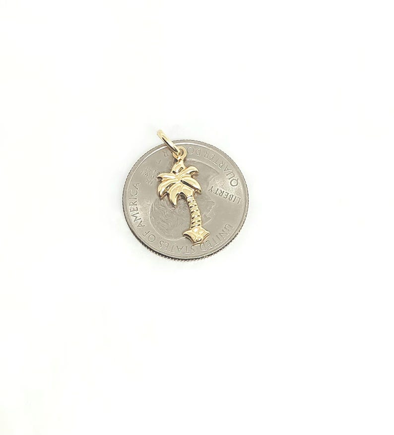 14K geelgouden boombedel, gouden palmboombedel, geribbelde boombedel, gouden tropische boom, botanische sieraden, gouden gezwollen boom, 16 mm x 10 mm afbeelding 6