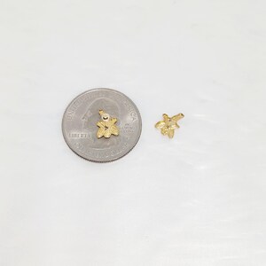 Size in reference to a U.S quarter