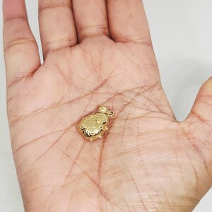 K&ouml;nnte beinhalten: Ein kleiner, polierter goldfarbener Anh&auml;nger in Form eines Marienk&auml;fers. Der Anh&auml;nger hat einen abgerundeten K&ouml;rper mit eingravierten kreisf&ouml;rmigen Mustern auf den Fl&uuml;geln und eine kleine &Ouml;se an der Oberseite zur Befestigung an einer Kette.