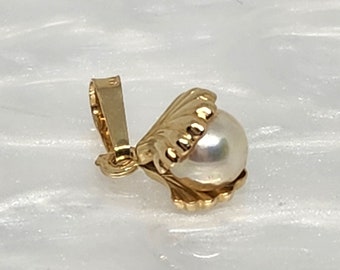 Concha de oro auténtico de 10 quilates, concha de perla pequeña de oro, concha de oro, dije 3D, concha de almeja, dije de ostra abierta, joyería de playa, dije de océano, dije delicado