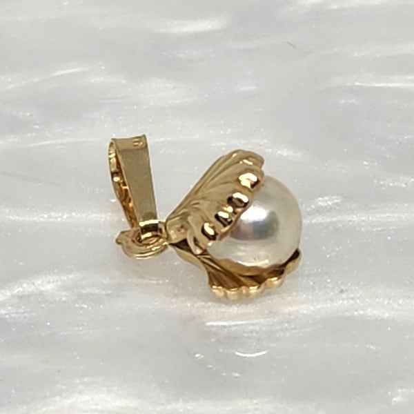 10K Real Gold Seashell, TINY Gold Pearl Shell, Gold Shell, 3D Charm, Clam Shell, Open Oyster Charm, Beach Jewelry, Ocean Charm, Dainty Charm