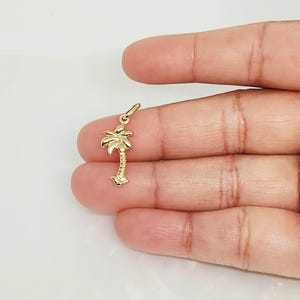 Op de afbeelding: Een kleine hanger van gepolijst geelgoud in de vorm van een palmboom. De hanger heeft een gestructureerde stam en gedetailleerde bladeren aan de bovenkant, met een kleine ronde ring aan de bovenzijde om aan een ketting of armband te bevestigen.