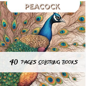 Peacock Coloring Book, Bird Coloring Pages, Digital Peacock Art, Printable Peacock Coloring, Peacock Illustrations, Peacock Mandala