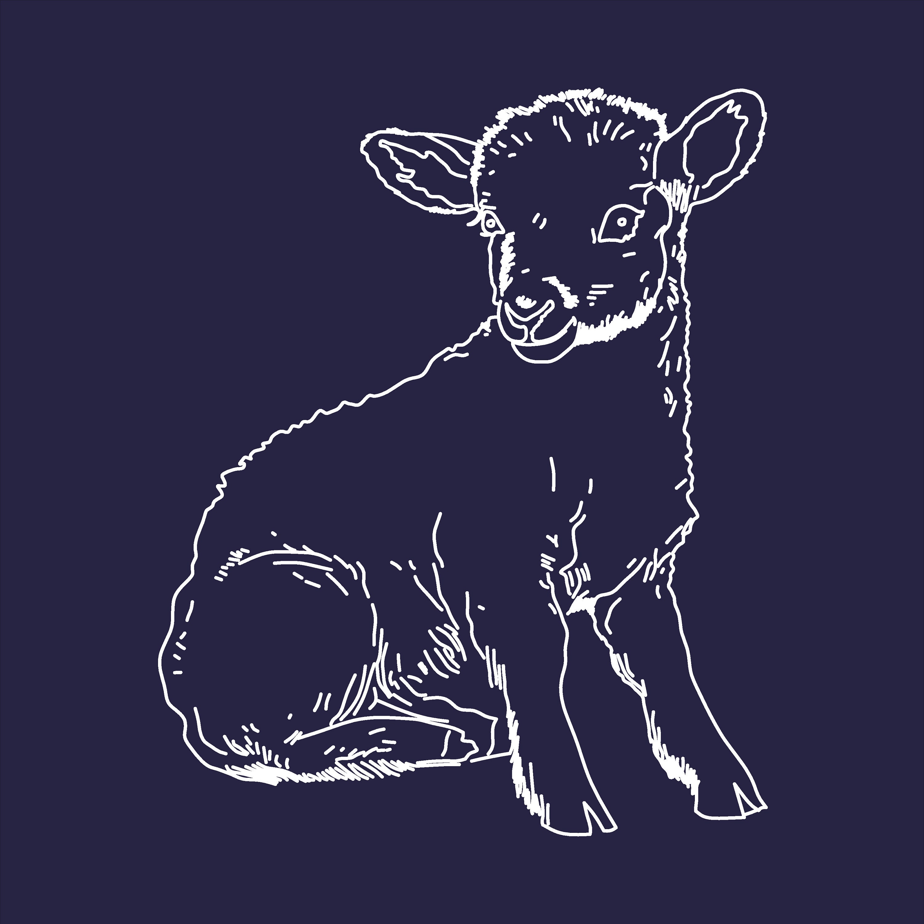 Baby Lamb Line Drawing Unique Animal Art Hand Drawn Art Digital