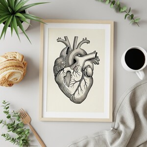 Può includere: Stampa artistica anatomica con un'illustrazione dettagliata di un cuore umano. Il disegno in bianco e nero è incorniciato in una cornice di legno chiaro. L'opera d'arte è esposta su uno sfondo neutro con elementi decorativi.