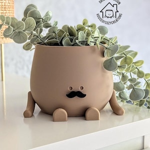 Könnte beinhalten: Ein brauner Keramiktopf mit einem Schnurrbart und Beinen, der eine Topfpflanze mit grünen Blättern hält. Der Topf steht auf einer weißen Oberfläche.