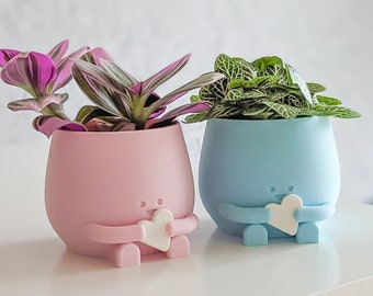 Adorable cadeau de baby shower Planter Pot Premier cadeau d’anniversaire sexe révéler cadeau de fête cadeau de bébé pot de plante décoration mignonne pot de jardinière d’intérieur