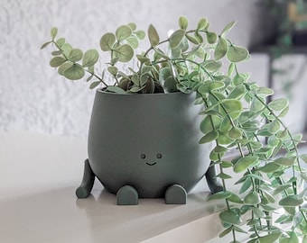 May include: A green ceramic planter with a smiling face and four legs, holding a trailing plant with small, light green leaves.