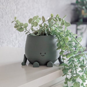 Op de afbeelding: Een groene keramische plantenpot met een glimlachend gezicht en vier poten, met een hangende plant met kleine, lichtgroene bladeren.