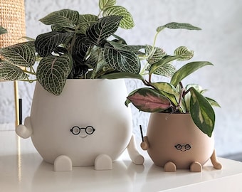 Happy Face Harry, la maceta Jardinera de bioplástico ecológica Un regalo encantador para los entusiastas de las plantas y de Harry Potter happy planter