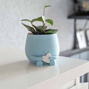 Baby boy gift idea blue plant pot with gift for him