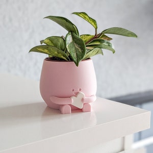Baby girl gift idea pink plant pot with gift for her