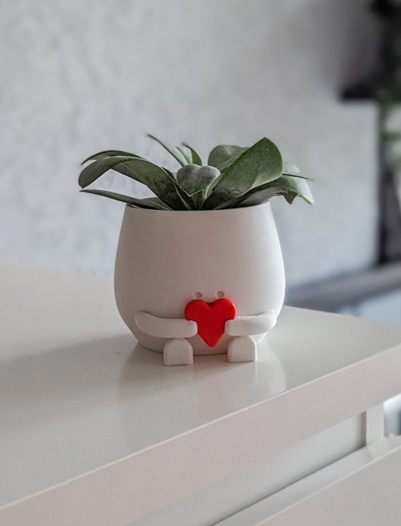 Happy plant pot Valentine gift for her gift for him valentines day plant pot face happy cute plant pot planter pot happy face