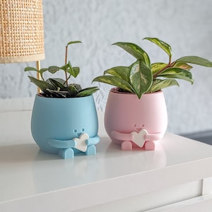 Cute babyshower gift idea newborn gift idea plant pot heart in hands