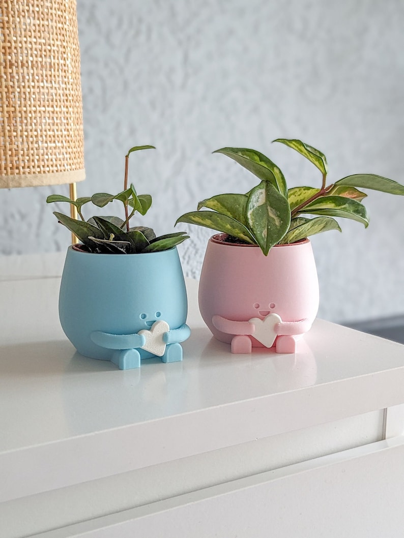 Cute babyshower gift idea newborn gift idea plant pot heart in hands