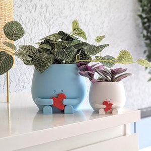 Happy plant pot Valentine gift for her gift for him valentine's day plant pot face happy cute plant pot planter pot happy face afbeelding 5