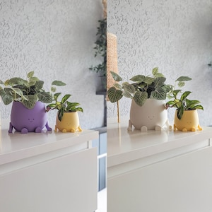 Plant pot face happy cute plant pot cute decoration indoor planter pot happy face plant lover gift birthday gift cute planter pot flower pot Yellow