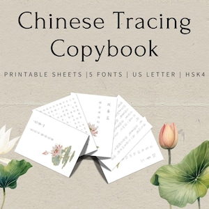 Cuaderno de ejercicios de trazado de caracteres chinos / Hojas de práctica y ejercicios de escritura para imprimir HSK4 / Aprenda mandarín / Cuaderno de ejercicios de escritura caligráfica