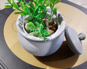 small decorative pot succulent pot