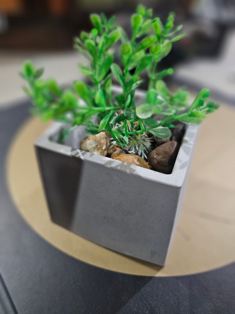 Square concrete succulent planter image 1