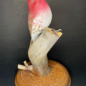 Vintage Purple Finch Bird Wooden Sculpture Kuris Raits BC Canada Art Work