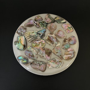 May include: A circular, white decorative tray featuring inlaid iridescent abalone shells. The shells, in various sizes and shapes, showcase colours like pink, blue, green, and gold. The tray is set against a black backdrop.