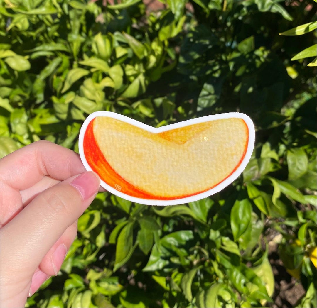 Apple Slice Art Sticker, Fruit Sticker Series, Vinyl Sticker, Cute ...