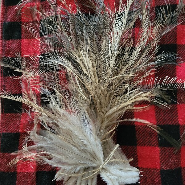 Emu Feathers Etsy