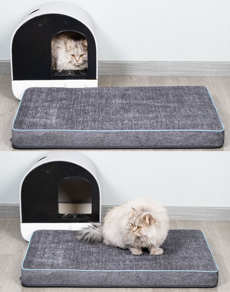 Custom Dog Bed Chenille Cushion 2'' Thick Washable Pet Mat with Removable Cover Kitchen Nook Mattress Boxed Cushion for Christmas Decoration immagine 9
