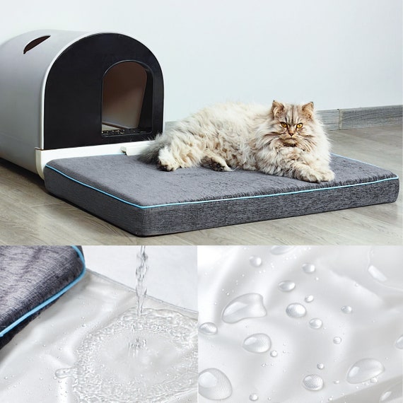 Custom Dog Bed Chenille Cushion 2'' Thick Washable Pet Mat with Removable Cover Kitchen Nook Mattress Boxed Cushion for Christmas Decoration