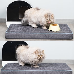 Pu&ograve; includere: Un letto per gatti grigio con un bordo grigio e blu. Un gatto grigio e soffice &egrave; in piedi sul letto, guardando una ciotola gialla di cibo per gatti. Il letto per gatti &egrave; accanto a una lettiera automatica per gatti bianca e nera.