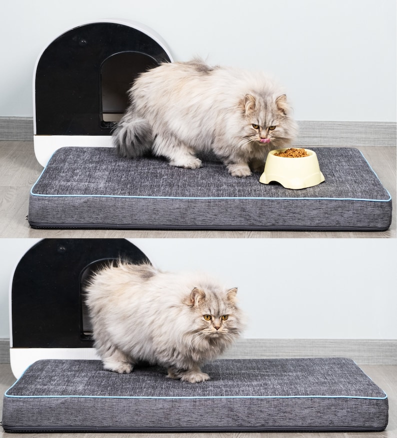 Pu&ograve; includere: Un letto per gatti grigio con un bordo grigio e blu. Un gatto grigio e soffice &egrave; in piedi sul letto, guardando una ciotola gialla di cibo per gatti. Il letto per gatti &egrave; accanto a una lettiera automatica per gatti bianca e nera.