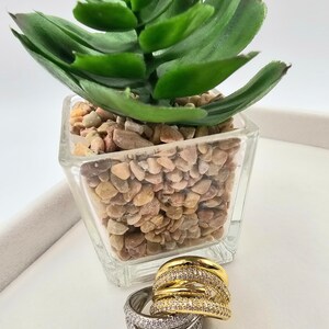以下が含まれることがあります： 小さなガラス容器の前に、金色のリングと銀色のリングの2つのリングが展示されています。容器には多肉植物が入っています。 金色のリングには、小さな透明な石が付いた複数のバンドがあります。 銀色のリングも同様のデザインです。