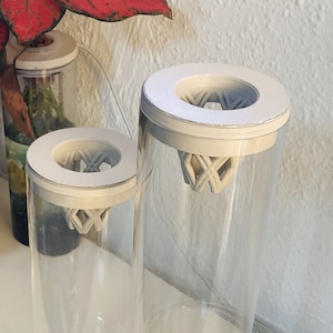 Könnte beinhalten: Zwei durchsichtige Glaszylinder mit weißen Deckeln und einer weißen gitterartigen Struktur im Inneren. Die Zylinder stehen auf einer weißen Oberfläche.