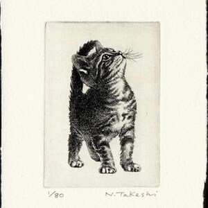 NAKAI TAKESHI "American Shorthair 2020" 2020 Acquaforte giapponese Arte firmata a mano Numerata ED80 monocromatica Animale Carino