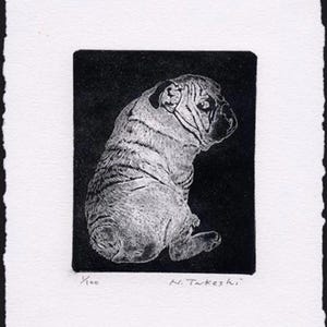 NAKAI TAKESHI "pug" 1999 Japanese Etching Art Hand Signed Numbered ED100 monochrome Animal Dog Cute