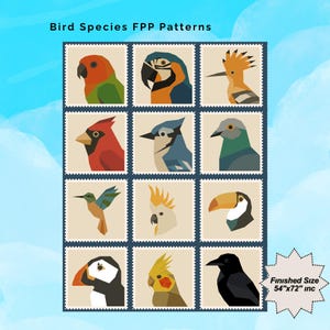 Bird Species,Animals FPP Quilt Pattern: Paper Piecing Template (Digital Download)