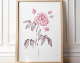Minimal Pink Flower Poster Japandi Botanical Wall Art Neutral Home Decor Rose Poster