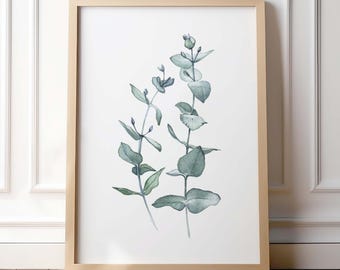 Impresión giclée de acuarela de eucalipto: arte mural botánico